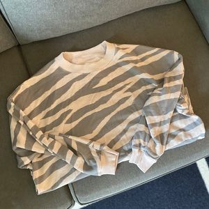 American Eagle Oversized Sweatshirt